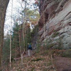 IMG 20190116 125428886